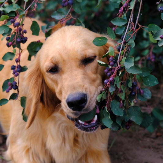 2025 - a year in review!