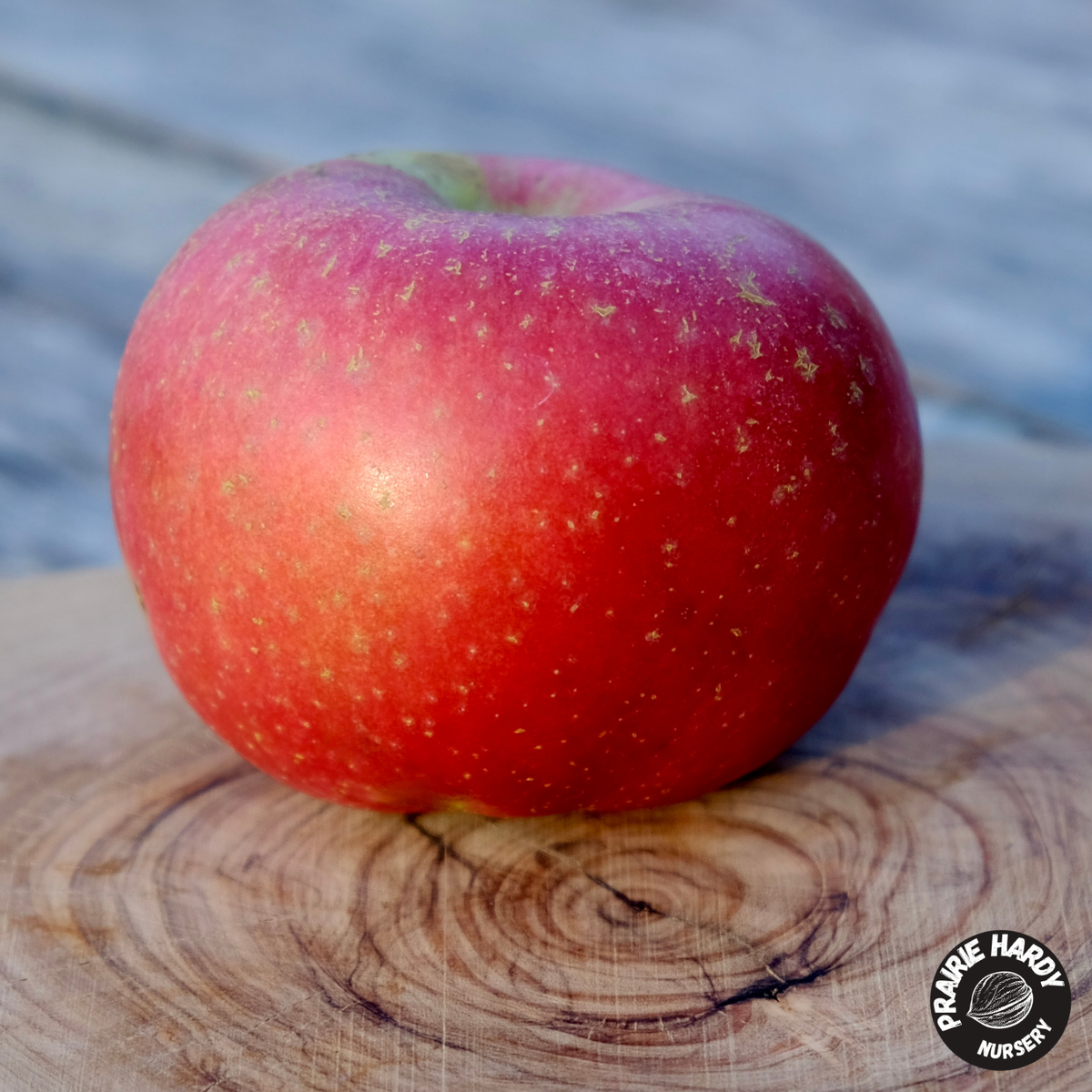 TreasuRed Columnar Apple