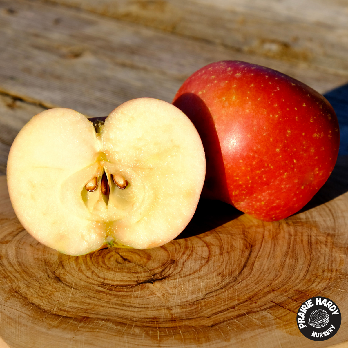 TreasuRed Columnar Apple